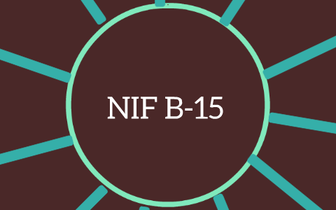 NIF B-15 Conversión de Monedas Extranjeras